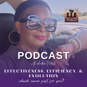 Effectiveness, Efficiency and Evolution